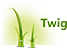 twig